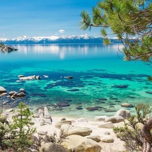 Meet your Posher, Tony